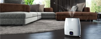 HUMIDIFICADOR LIMPIA 6