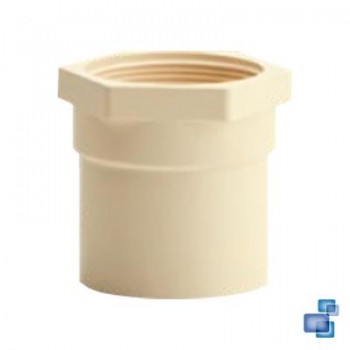 TERMINAL CPVC ROSCA HEMBRA PN25 2"